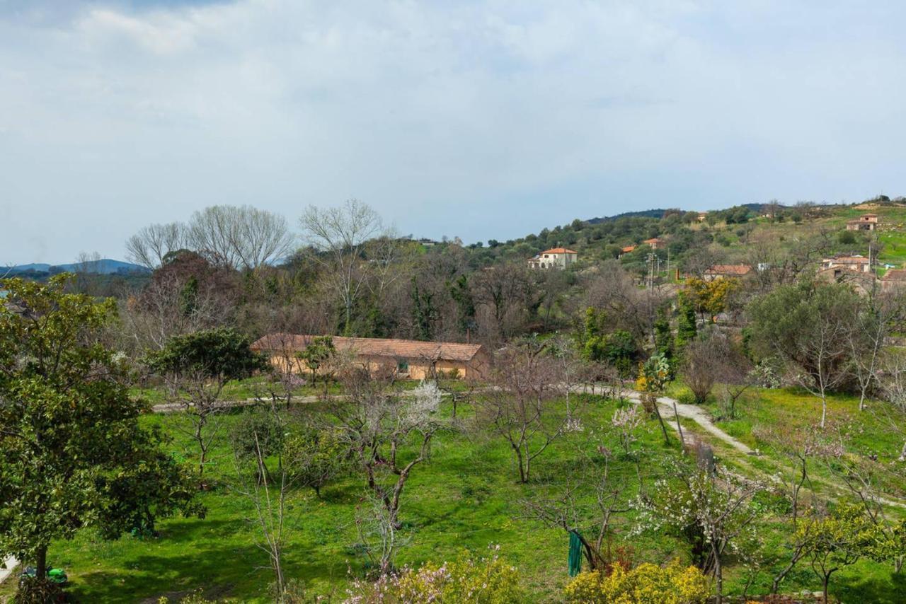 Spacious Apartment In Ceraso With Mountain View Zewnętrze zdjęcie